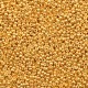 Miyuki rocailles Perlen 15/0 - Duracoat galvanized yellow gold 15-4203